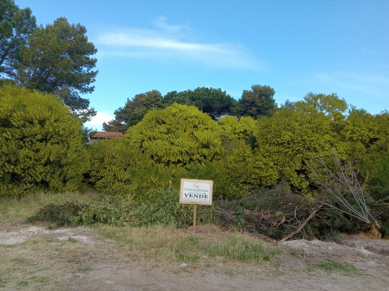 Lote en zona residencial.