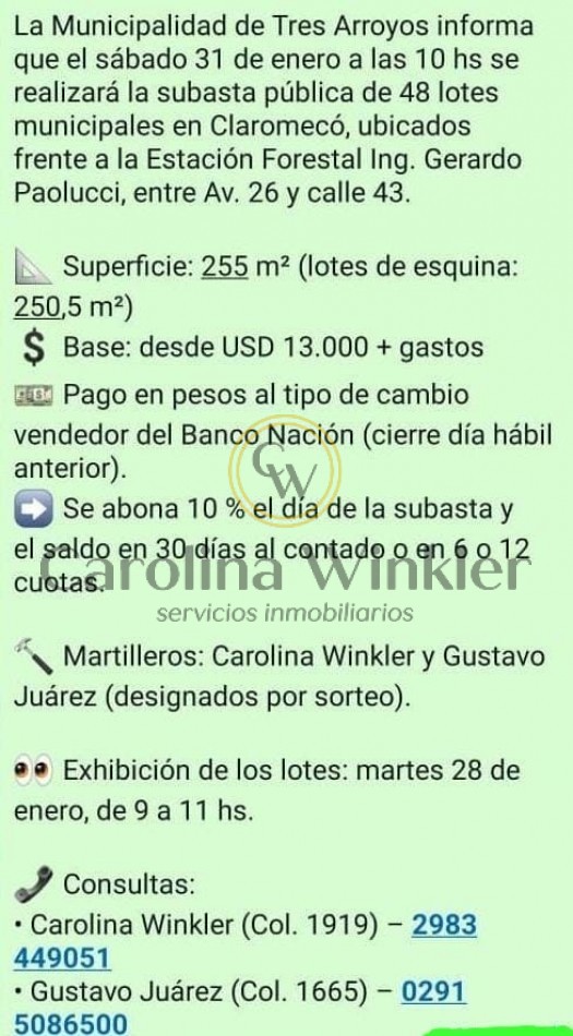 SUBASTA PRESENCIAL EN CLAROMECO VENDIDOS