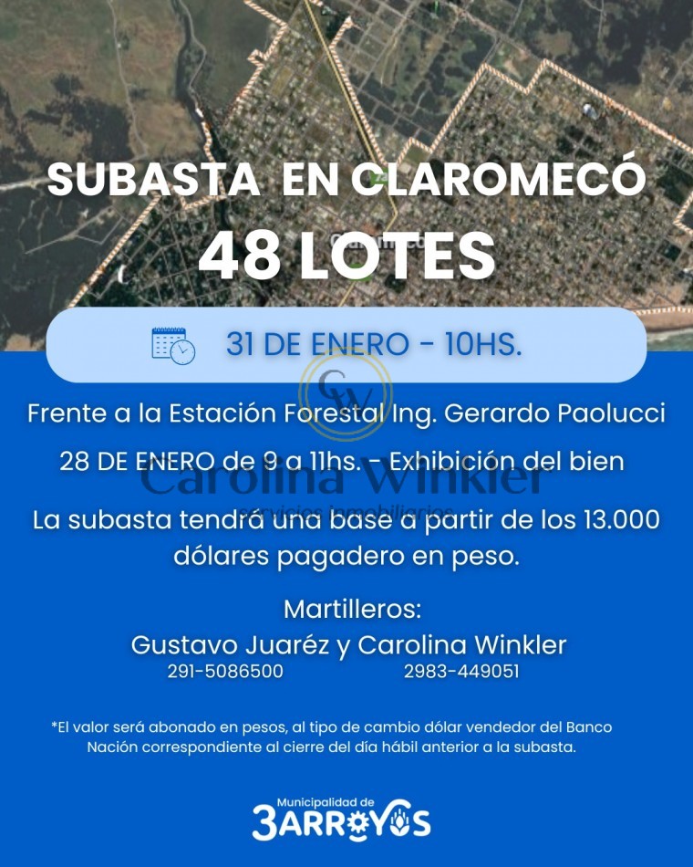 SUBASTA PRESENCIAL EN CLAROMECO VENDIDOS
