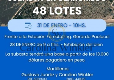 SUBASTA PRESENCIAL EN CLAROMECO VENDIDOS